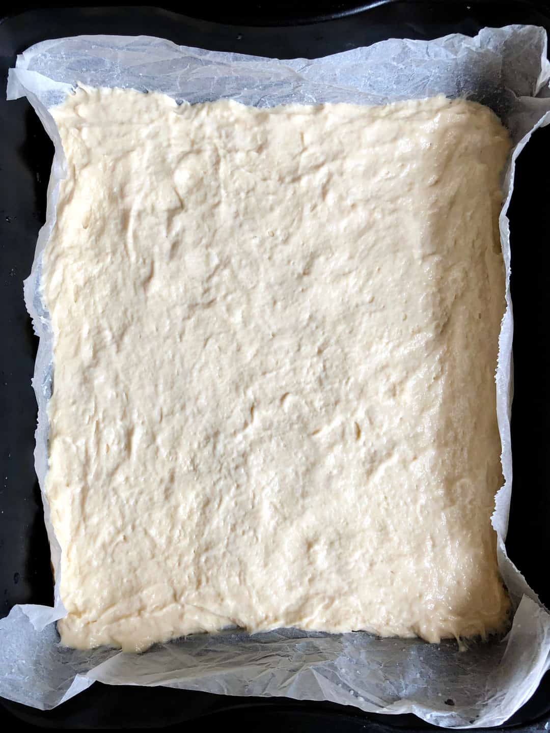 cake yeast Archives | BAKERpedia